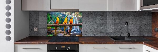 Spatscherm keuken Papegaaien op een tak