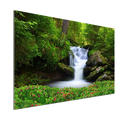 Spatscherm keuken Waterval in het bos