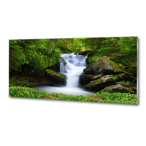 Spatscherm keuken Waterval in het bos