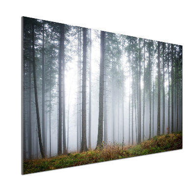 Panel dekor szkło Mgła w lesie