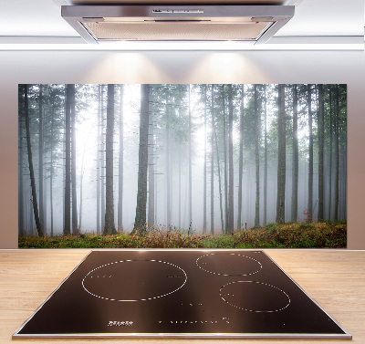 Panel dekor szkło Mgła w lesie