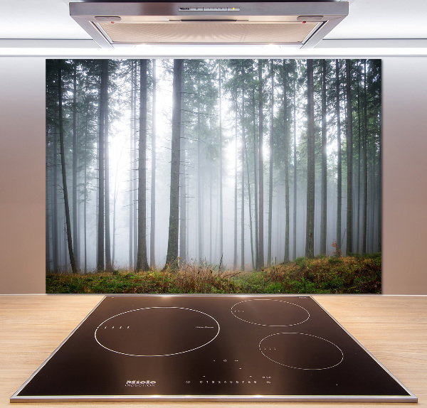 Panel dekor szkło Mgła w lesie