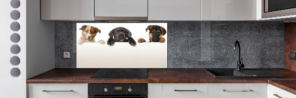 Keuken achterwand Drie puppy's