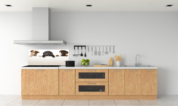 Keuken achterwand Drie puppy's