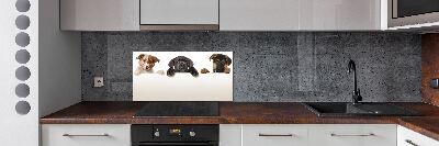 Keuken achterwand Drie puppy's