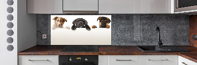 Keuken achterwand Drie puppy's
