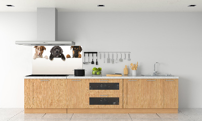 Keuken achterwand Drie puppy's