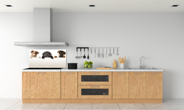 Keuken achterwand Drie puppy's