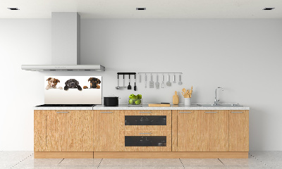 Keuken achterwand Drie puppy's
