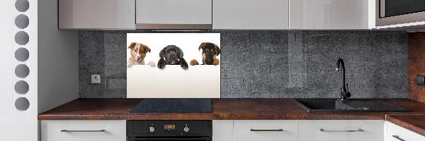Keuken achterwand Drie puppy's