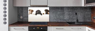 Keuken achterwand Drie puppy's