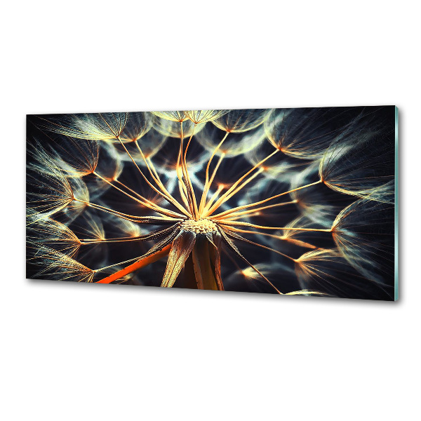 Glazen achterwand keuken Paardenbloemen