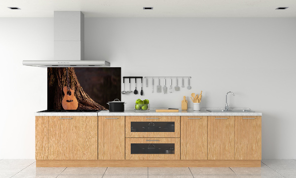 Spatscherm keuken Akoestische gitaar