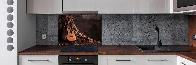 Spatscherm keuken Akoestische gitaar