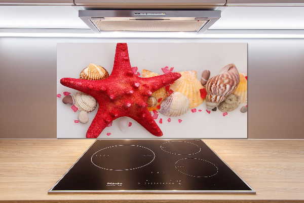 Glazen achterwand keuken Zeesterren en schelpen