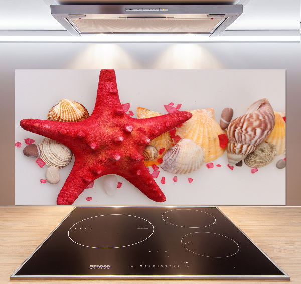 Glazen achterwand keuken Zeesterren en schelpen
