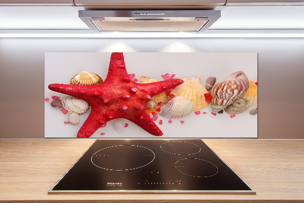 Glazen achterwand keuken Zeesterren en schelpen