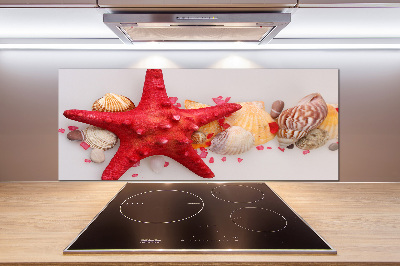 Glazen achterwand keuken Zeesterren en schelpen
