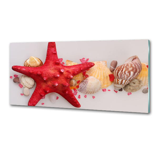 Panel lacobel Rozgwiazda i muszle