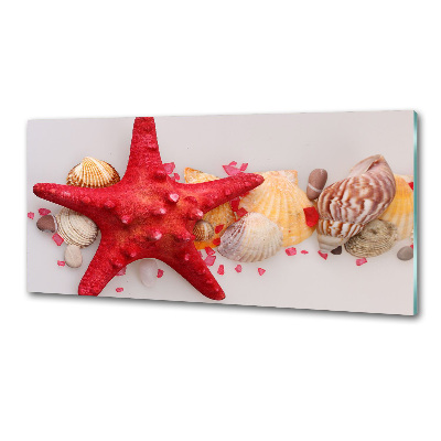 Panel lacobel Rozgwiazda i muszle