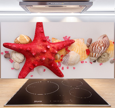 Glazen achterwand keuken Zeesterren en schelpen