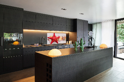 Glazen achterwand keuken Zeesterren en schelpen