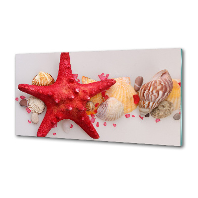 Panel lacobel Rozgwiazda i muszle