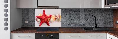 Glazen achterwand keuken Zeesterren en schelpen