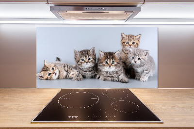 Achterwand keuken Vijf katten
