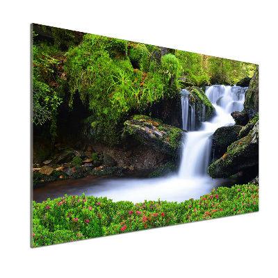 Glazen achterwand keuken Waterval in het bos