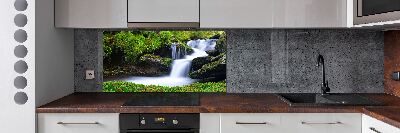 Glazen achterwand keuken Waterval in het bos