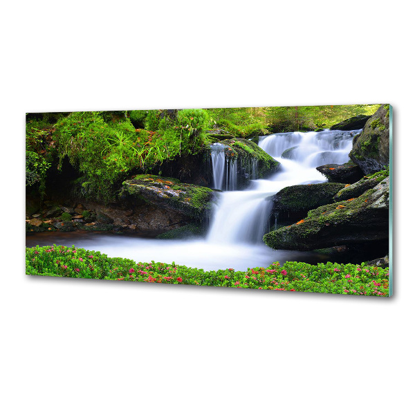Glazen achterwand keuken Waterval in het bos