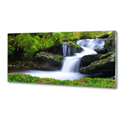 Glazen achterwand keuken Waterval in het bos