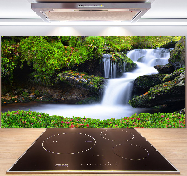 Glazen achterwand keuken Waterval in het bos