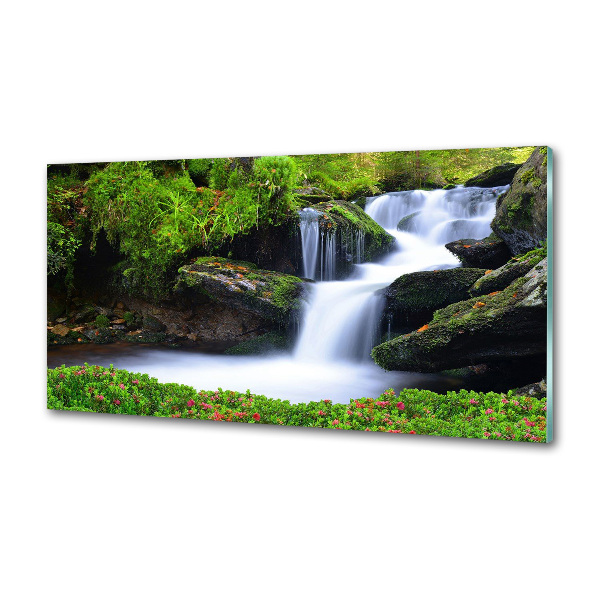 Glazen achterwand keuken Waterval in het bos
