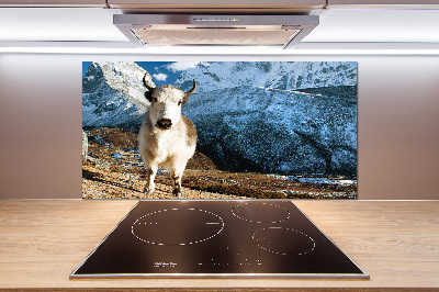 Panel między meble w kuchni Jak góry