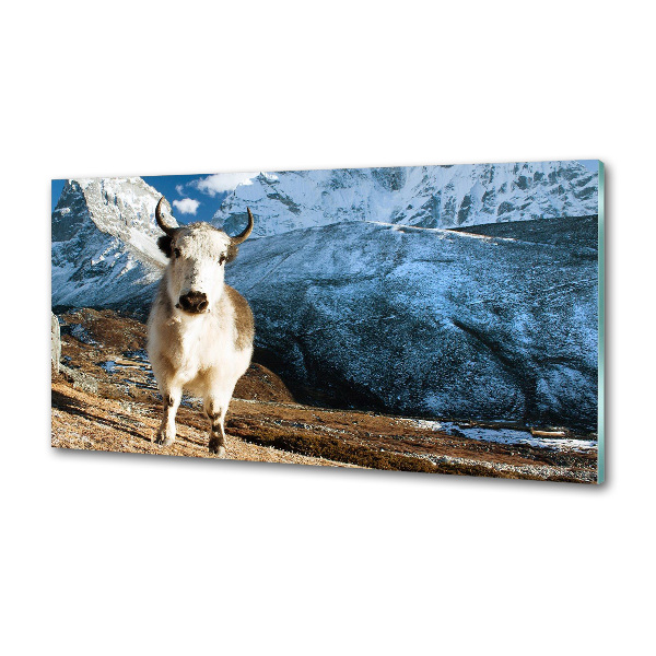 Spatscherm keuken Zoals bergen