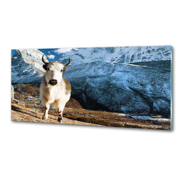 Panel między meble w kuchni Jak góry