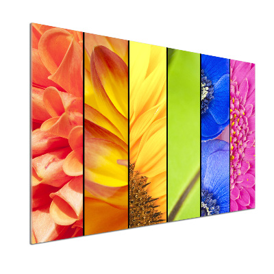 Spatplaat keuken Kleurrijke bloemen
