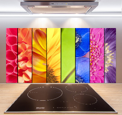 Spatplaat keuken Kleurrijke bloemen