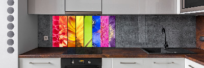 Spatplaat keuken Kleurrijke bloemen