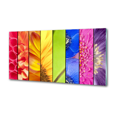 Spatplaat keuken Kleurrijke bloemen
