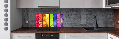 Spatplaat keuken Kleurrijke bloemen