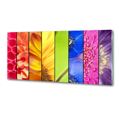 Spatplaat keuken Kleurrijke bloemen