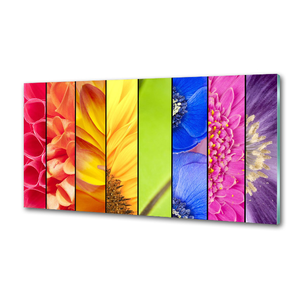 Spatplaat keuken Kleurrijke bloemen