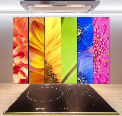 Spatplaat keuken Kleurrijke bloemen
