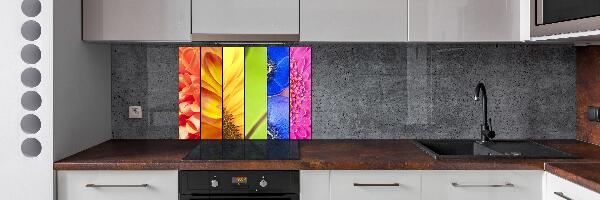 Spatplaat keuken Kleurrijke bloemen