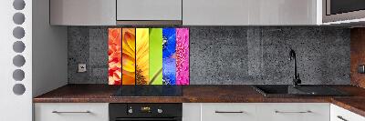 Spatplaat keuken Kleurrijke bloemen