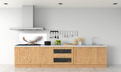 Glazen achterwand keuken Een veer op het water