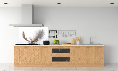 Glazen achterwand keuken Een veer op het water